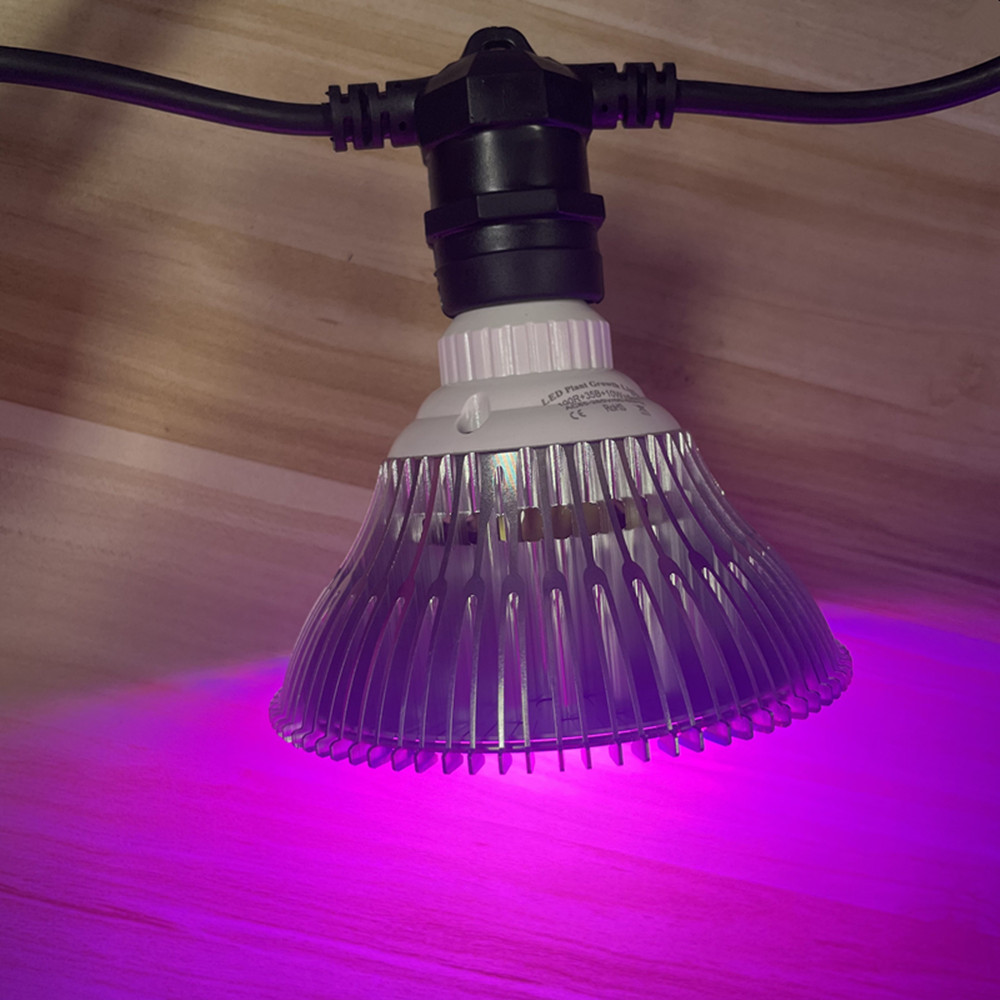 سلسلة إضاءة LED بطول 10 أمتار، - مراجعة Outdoor Lighting Bollards وسعره
