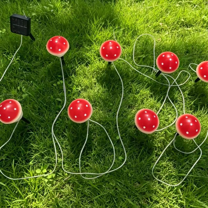 أضواء زينة شمسية على شكل فطر م - مراجعة Outdoor Lighting Switch وسعره